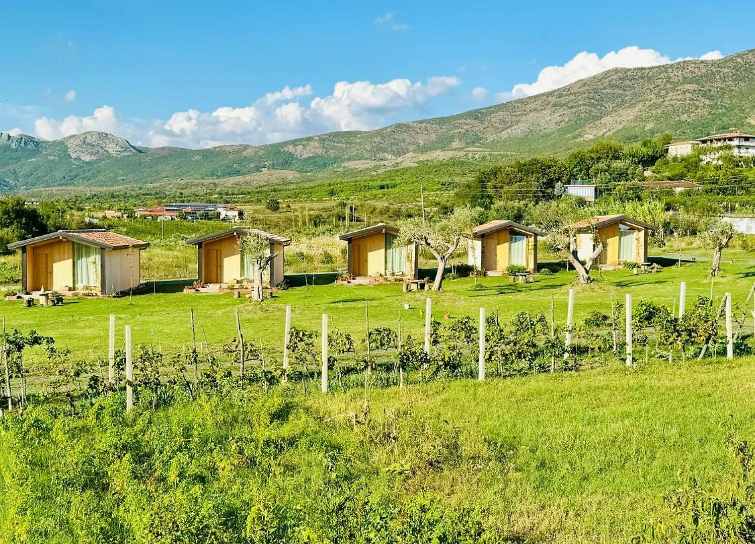 Fishta Guesthouse - Mrizi I Zanave Fishte Holiday home